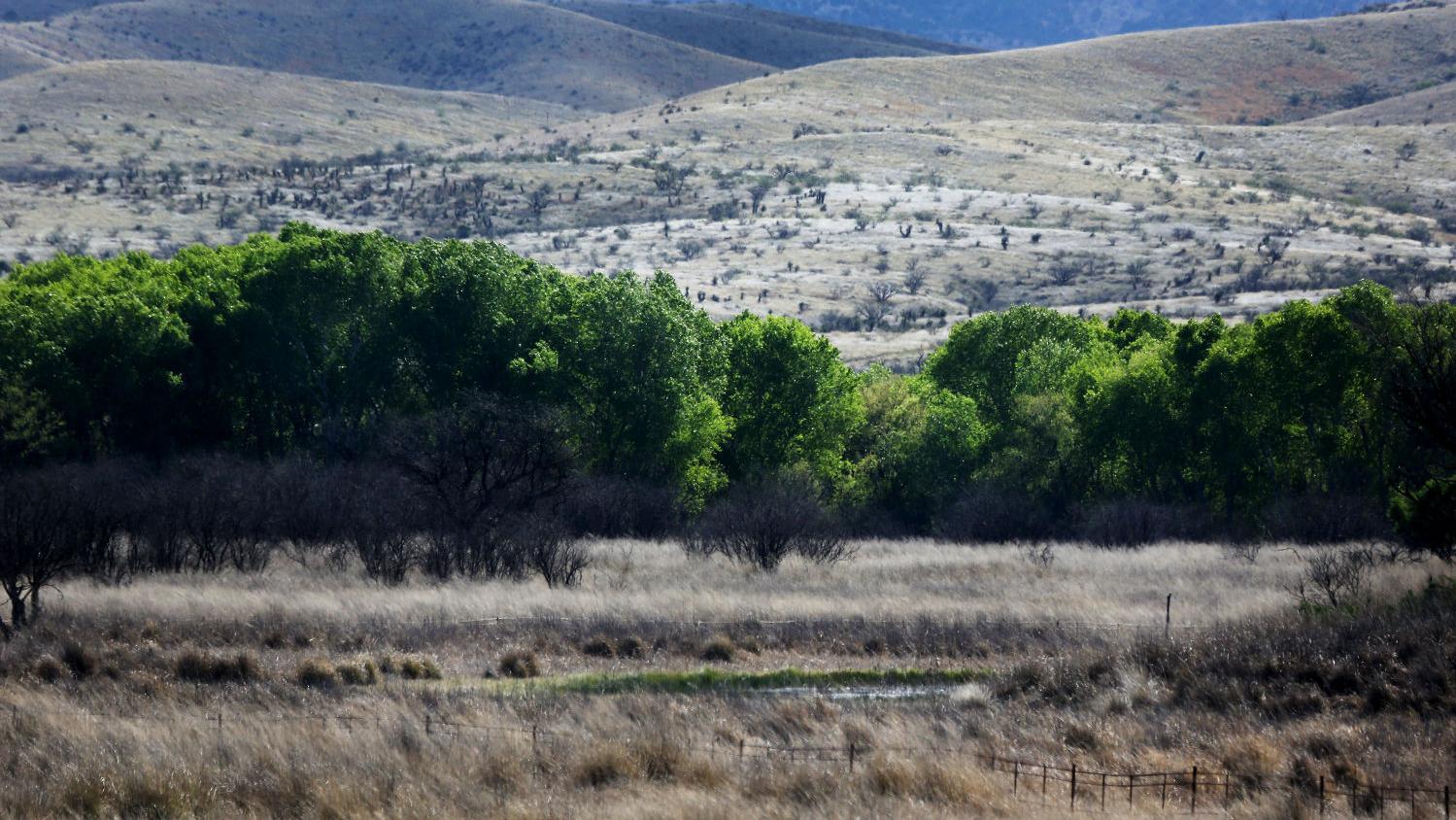 Fish and Wildlife drops tough Rosemont Mine measures